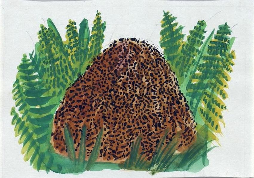 Рисунок муравейника Муравейник