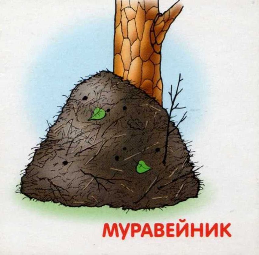 Рисунок муравейника Изображение муравейника для детей