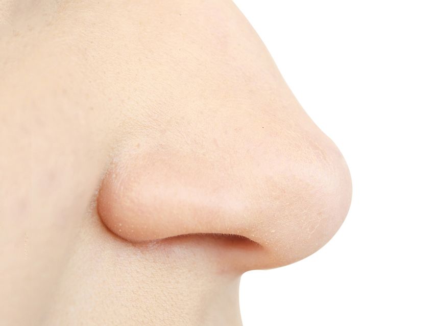 Нос на прозрачном фоне Нос без фона