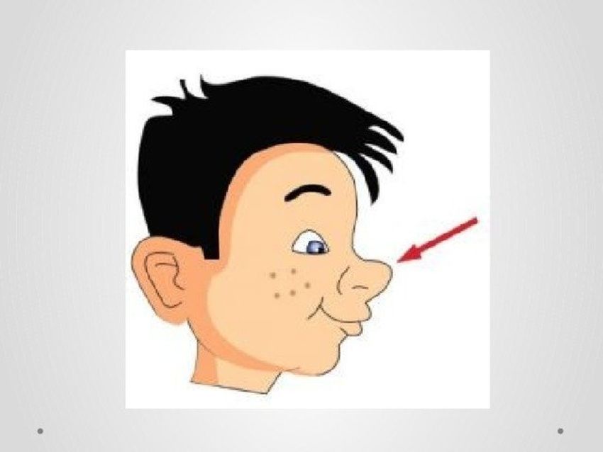 Нос рисунок Подбородок для детей