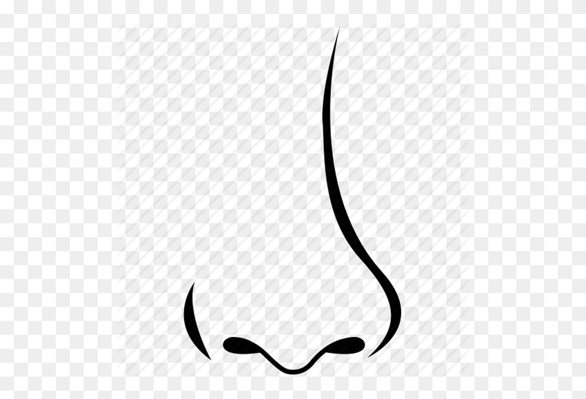 Нос вектор Нос рисунок