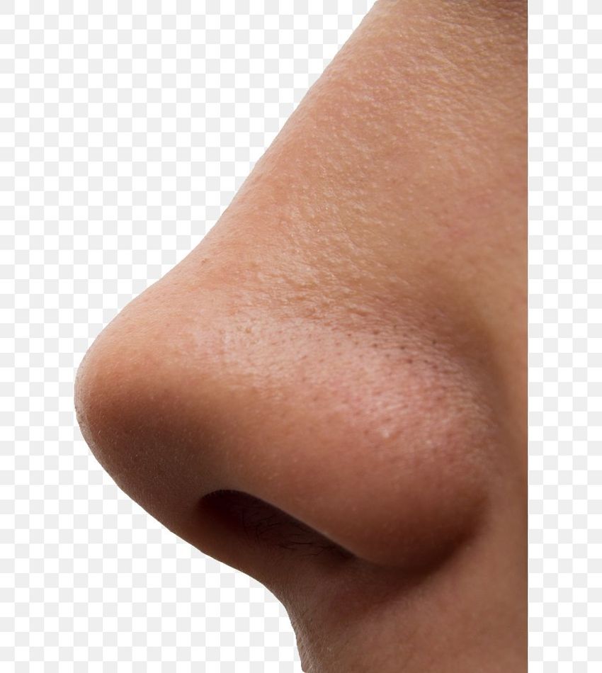 Нос на прозрачном фоне Нос без фона