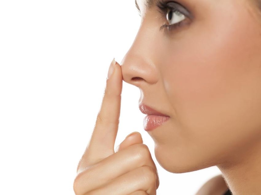 Нос Кончик носа