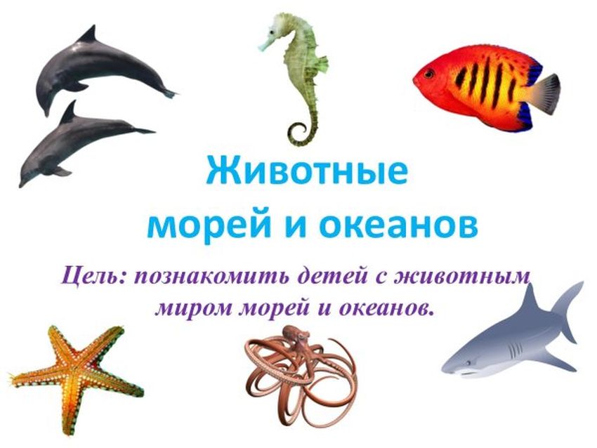 Обитатели морей и океанов для детей