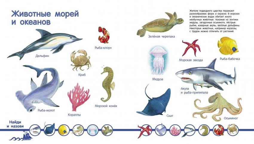Обитатели морей и океанов для детей цели