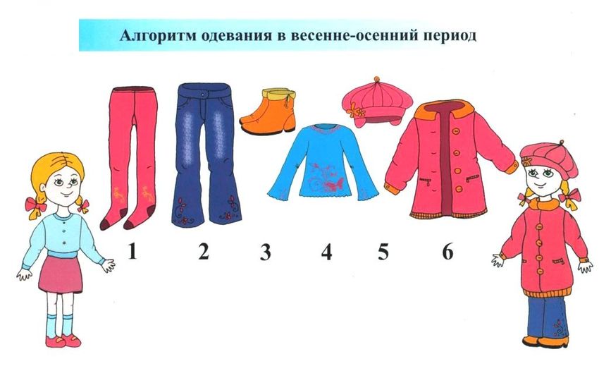 Одежда