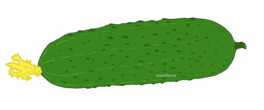 Огурец Огурец рисунок для детей
