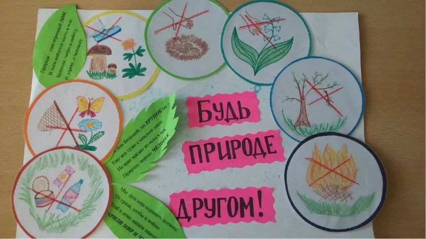 Проект берегите природу