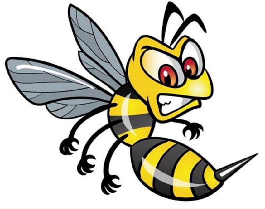 Злая пчела