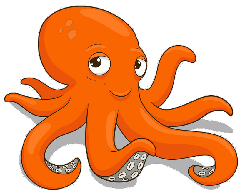 Octopus