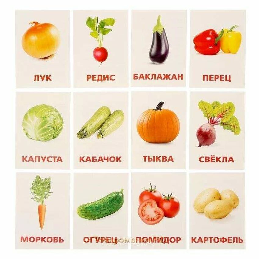 Обучающие карточки овощи