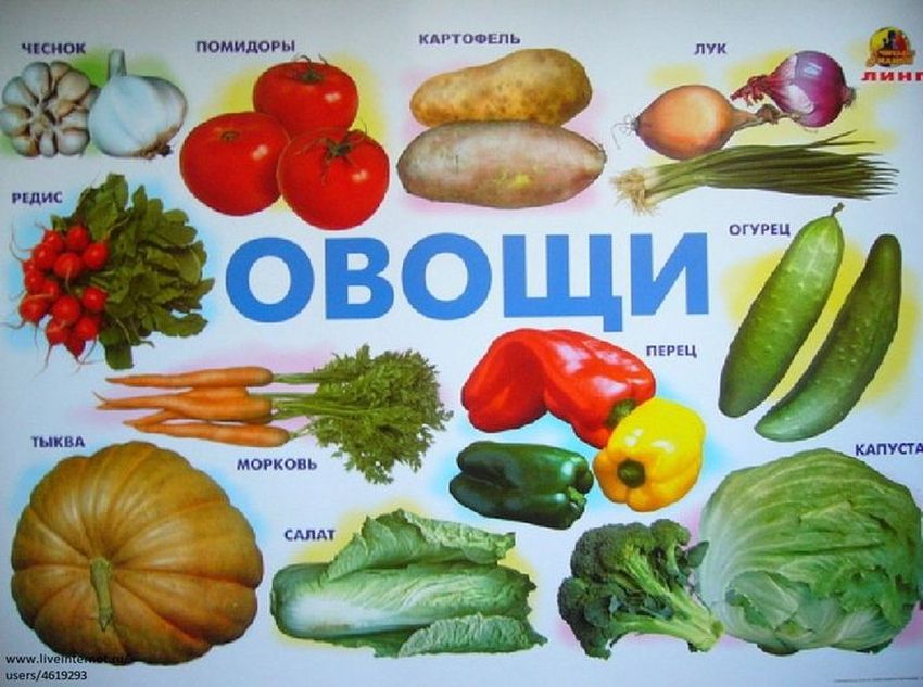 Плакат овощи