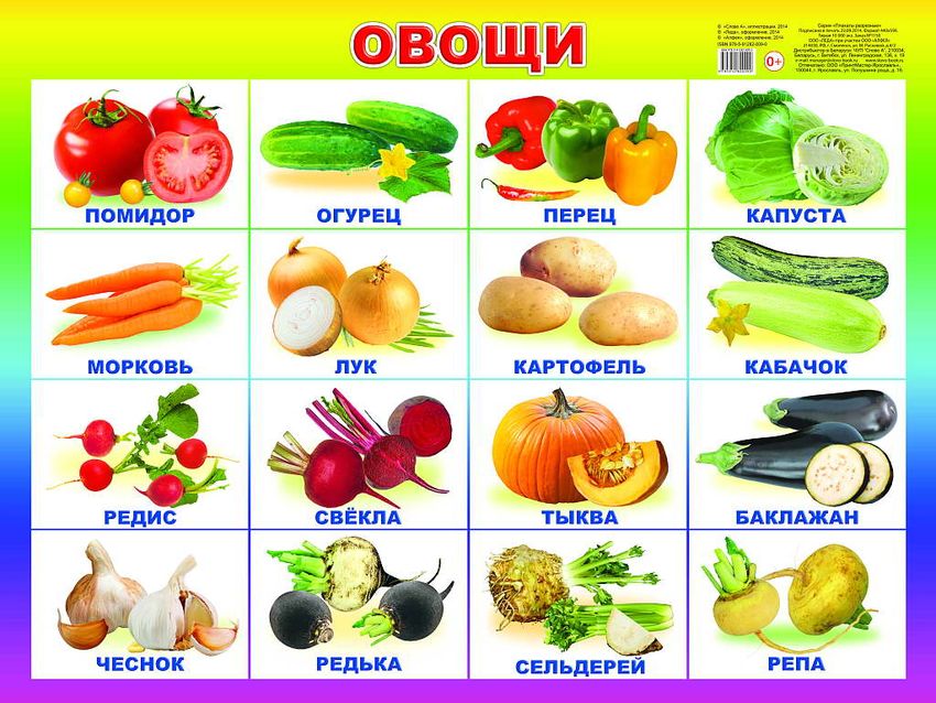 Овощи с названиями для детей