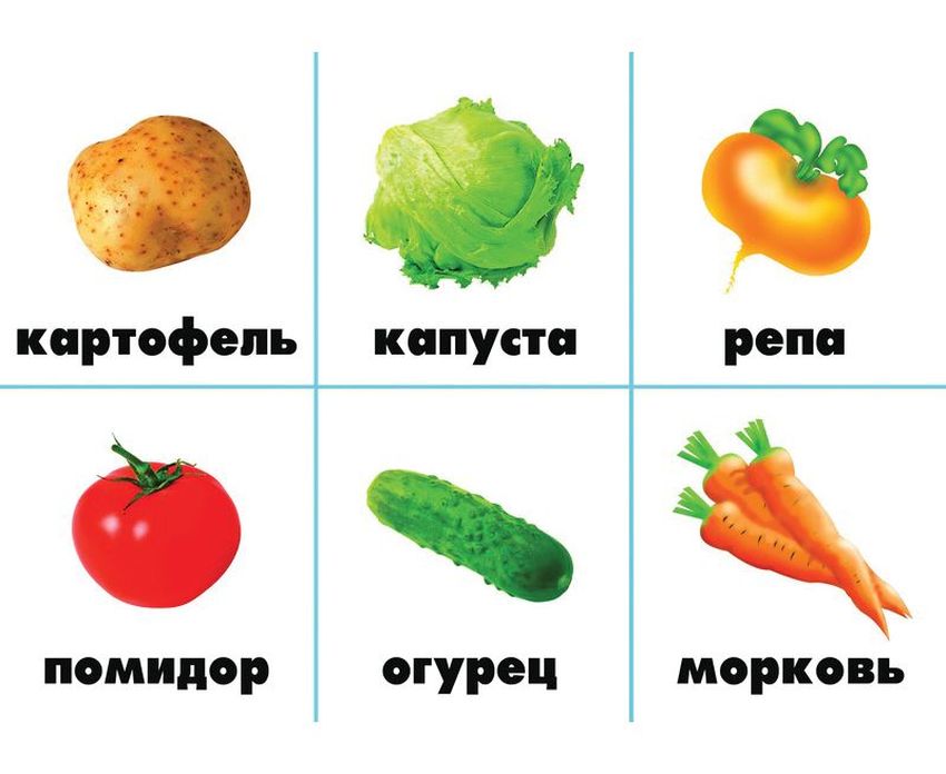 Карточки овощи для детей