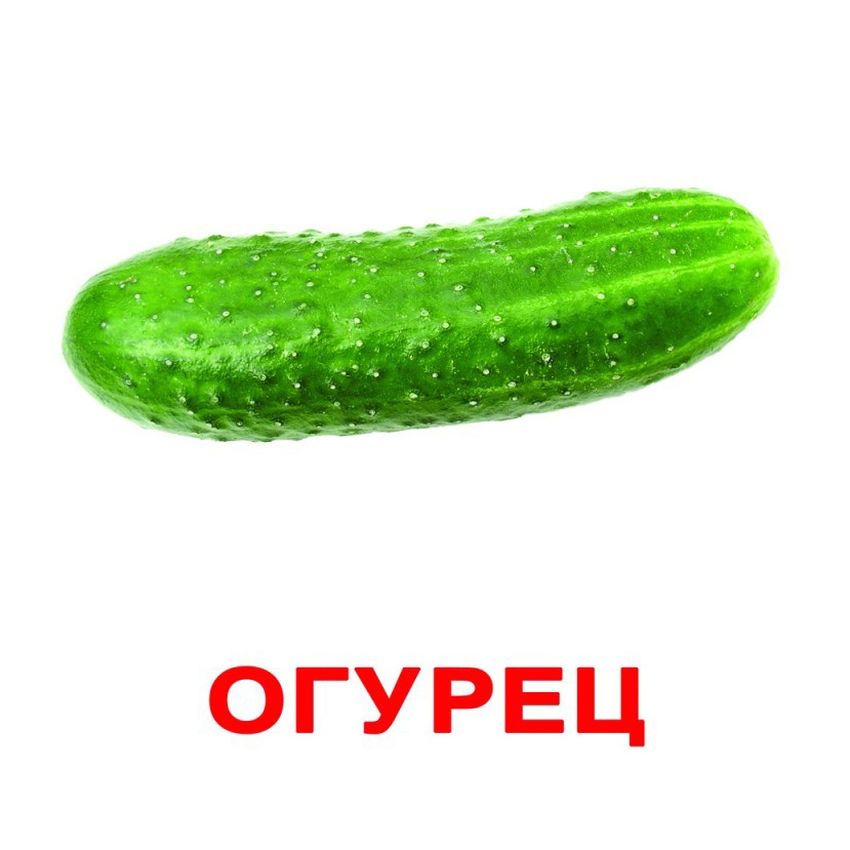 Огурец Огурец карточка для детей