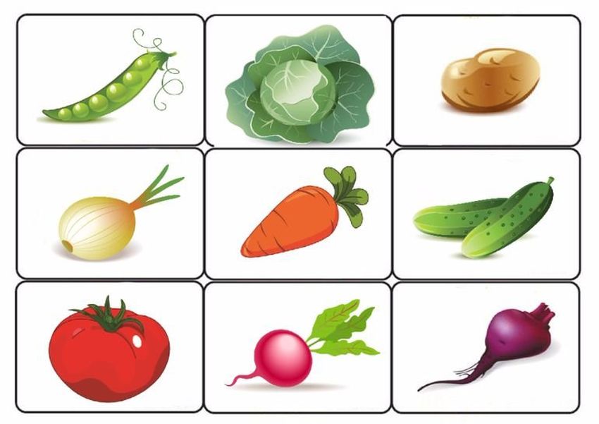 Лото овощи для детей в детском саду