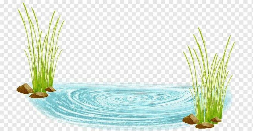Водяной на прозрачном фоне