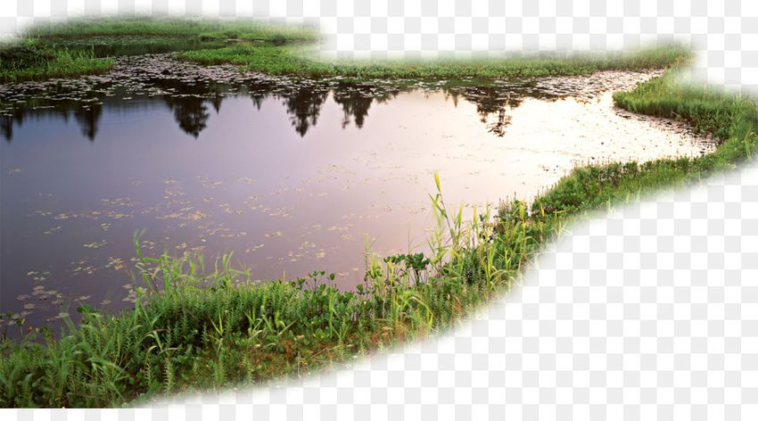 Река клипарт