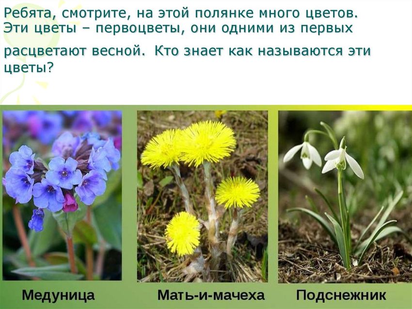 Мать и мачеха