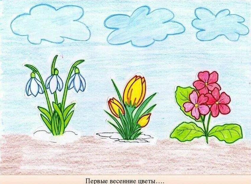 Рисуем весенние цветы