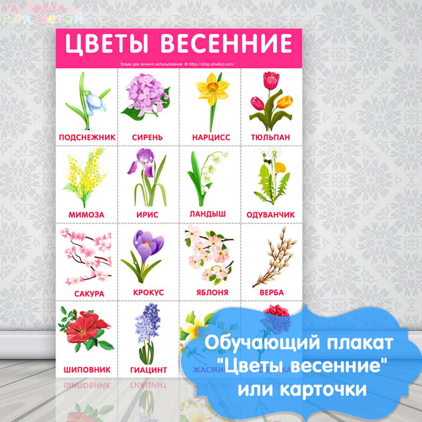 Весенние цветы для детей