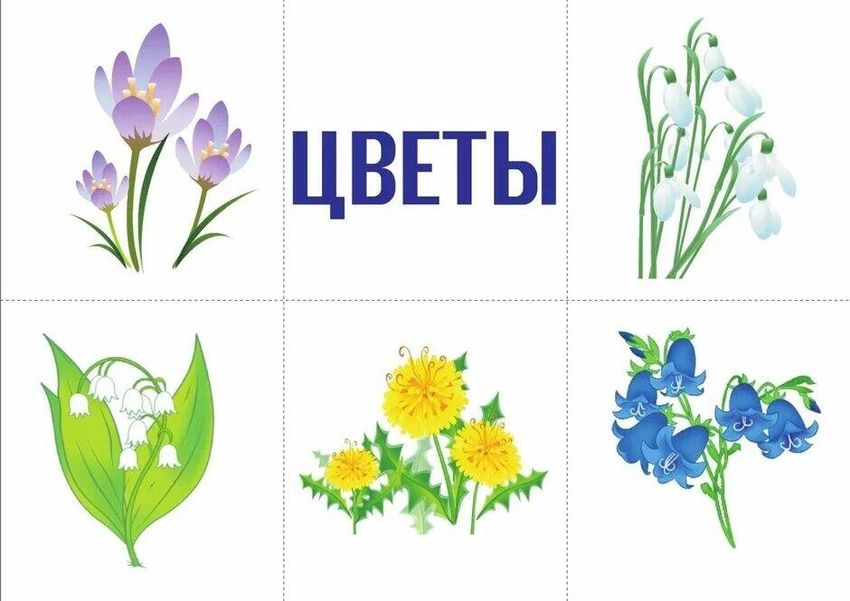 Весенние цветы для детей