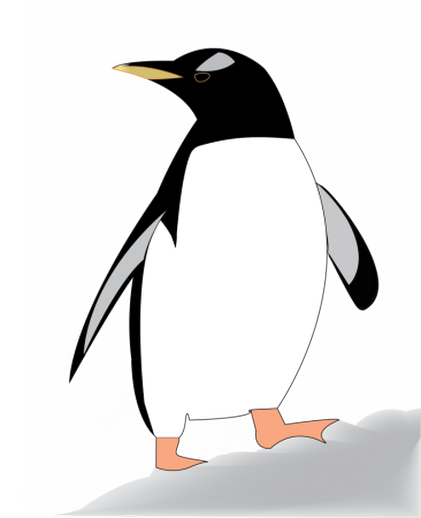 Penguin