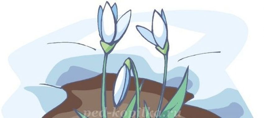 Подснежники
