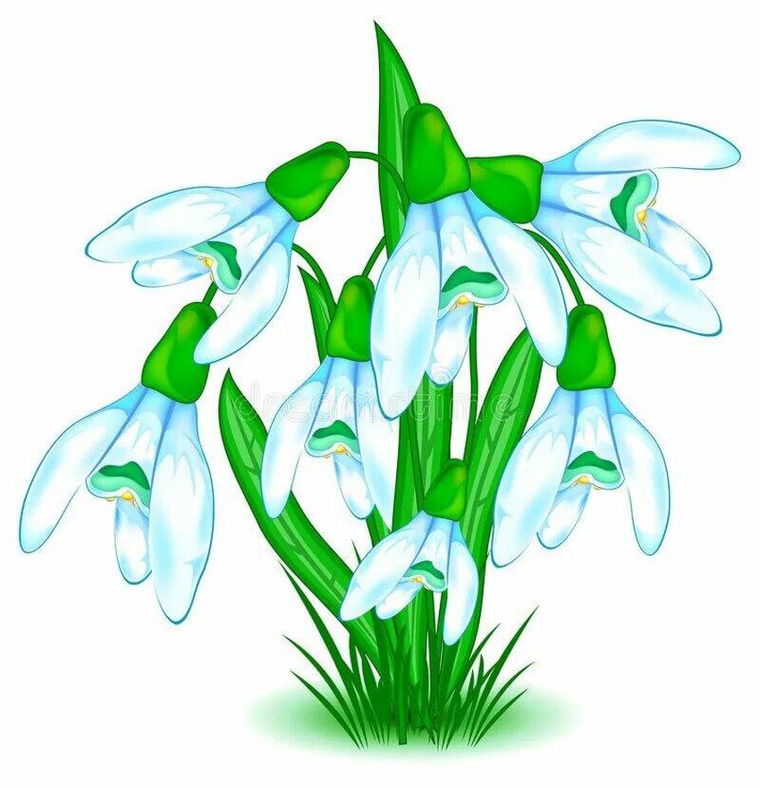 Подснежники для детей