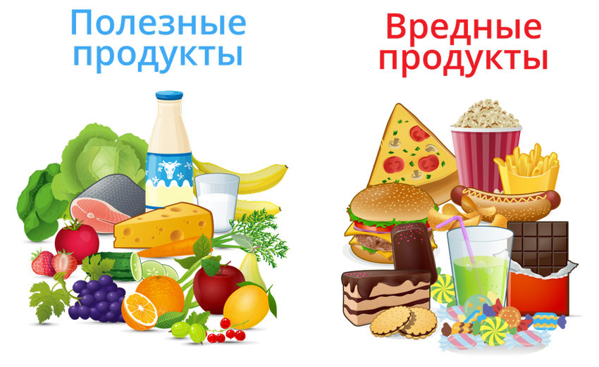 Полезные и вредные продукты