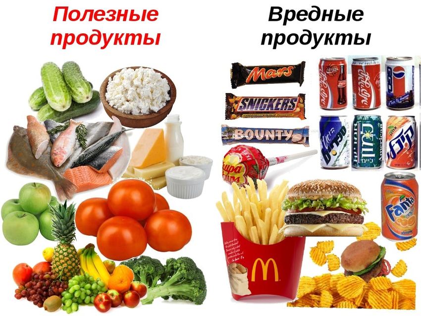 Вредные и полезные продукты