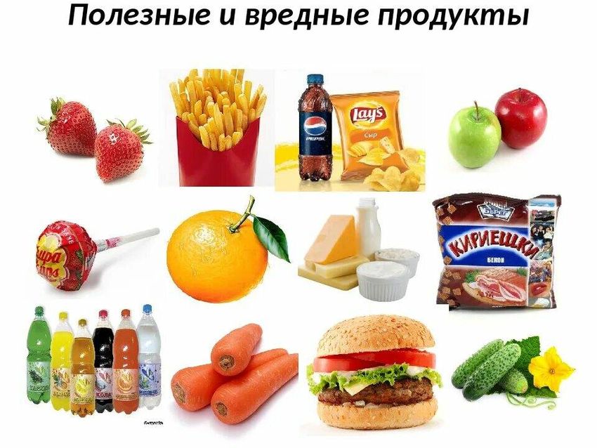 Полезные и вредные продукты