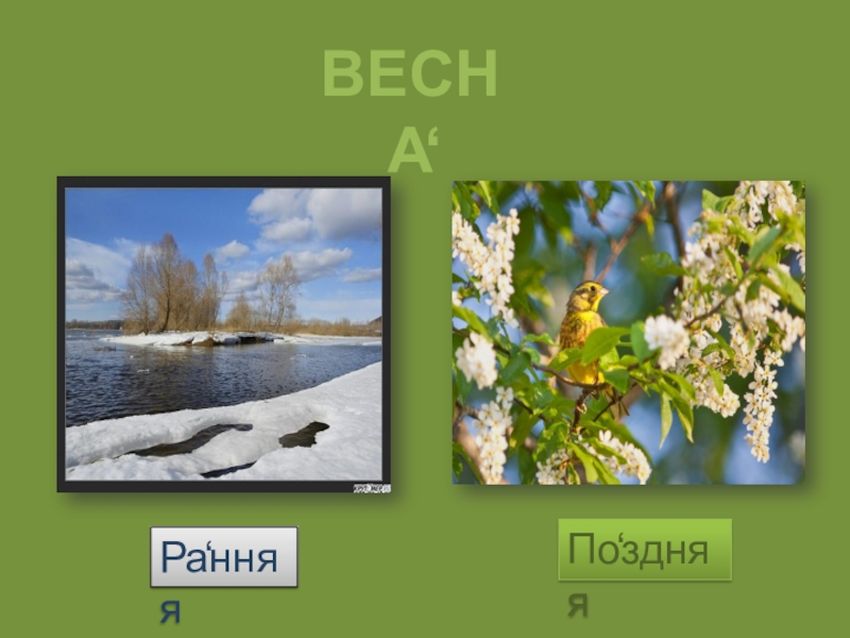 Весна презентация