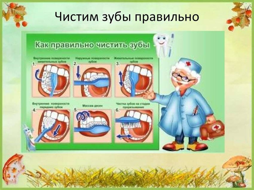 Чистим зубы правильно стенд