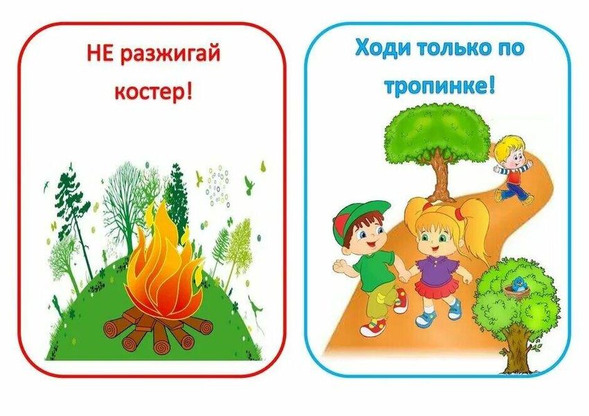 В лесу не разжигайте костер без взрослых