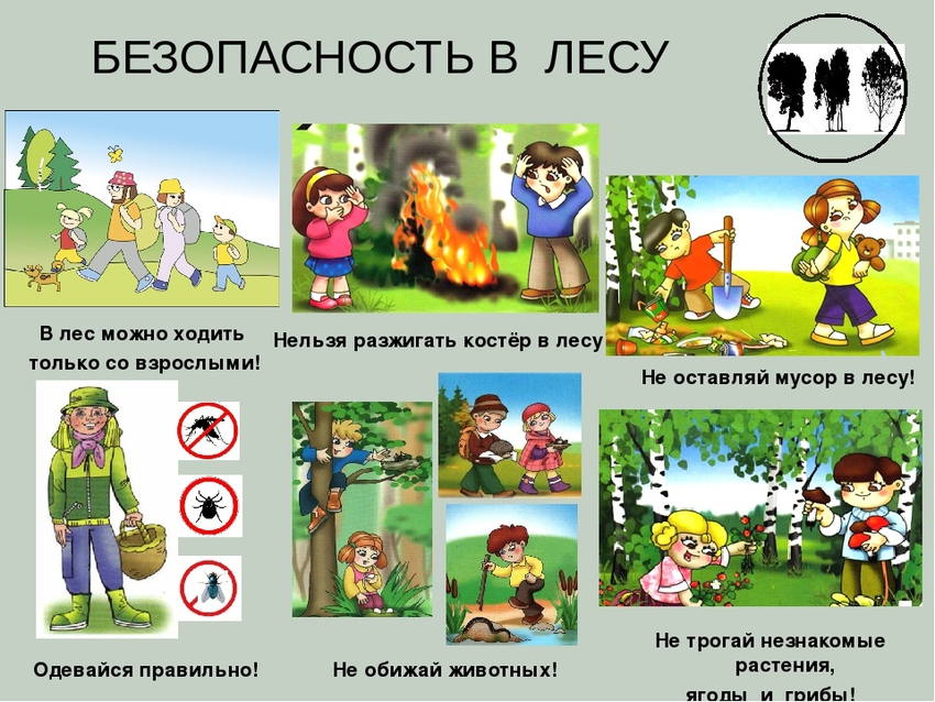 Не разжигай костер в лесу
