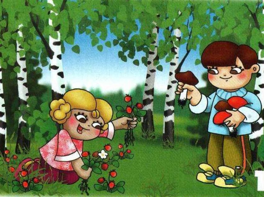 Правила поведения в лесу