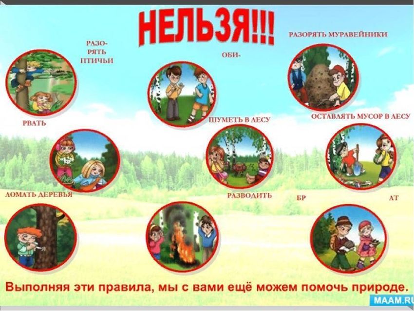 Правила поведения на природе