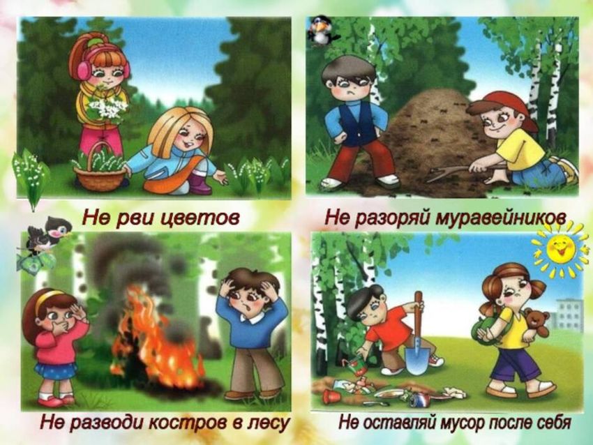 Поведение в лесу для детей