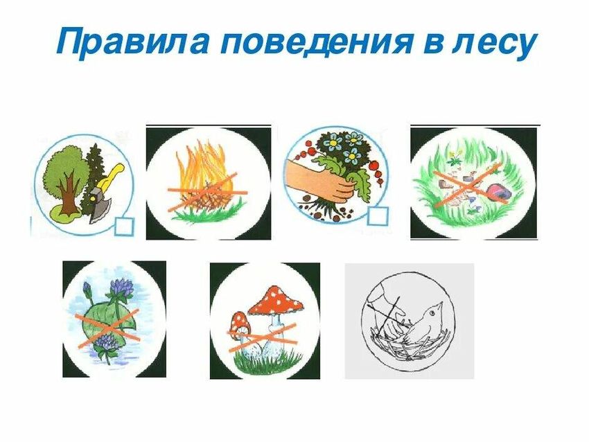 Условные знаки к правилам безопасности в природе
