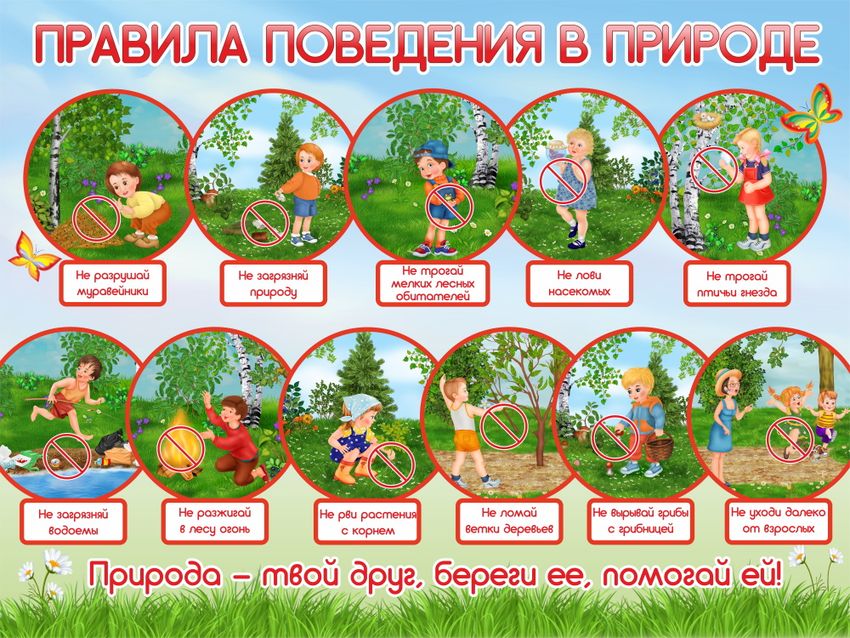 Правила поведения в лесу