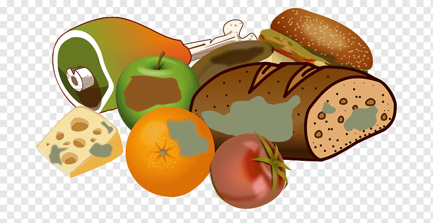 Иллюстрации продуктов