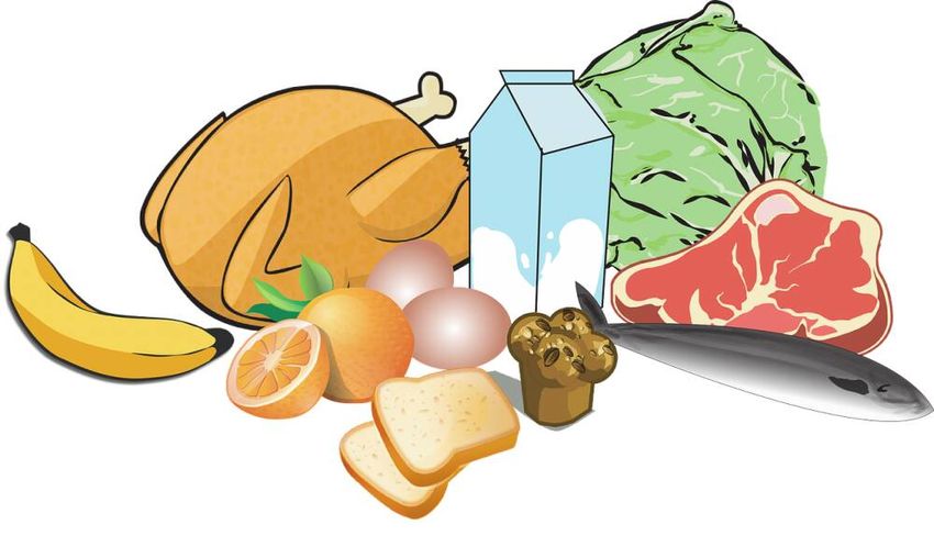 Продукты питания клипарт