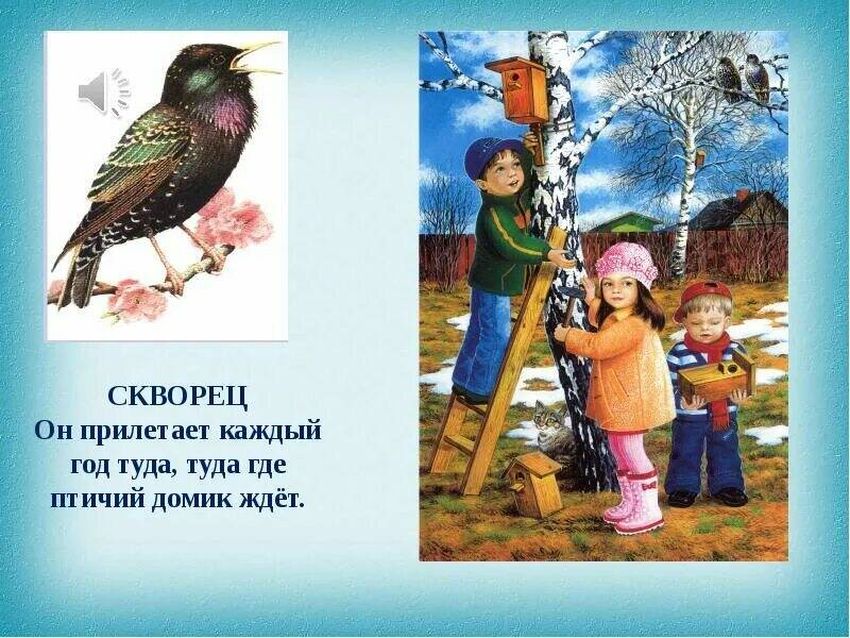 Птицы которые прилетают весной