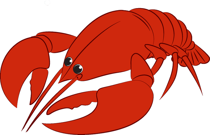 Лобстер рисунок