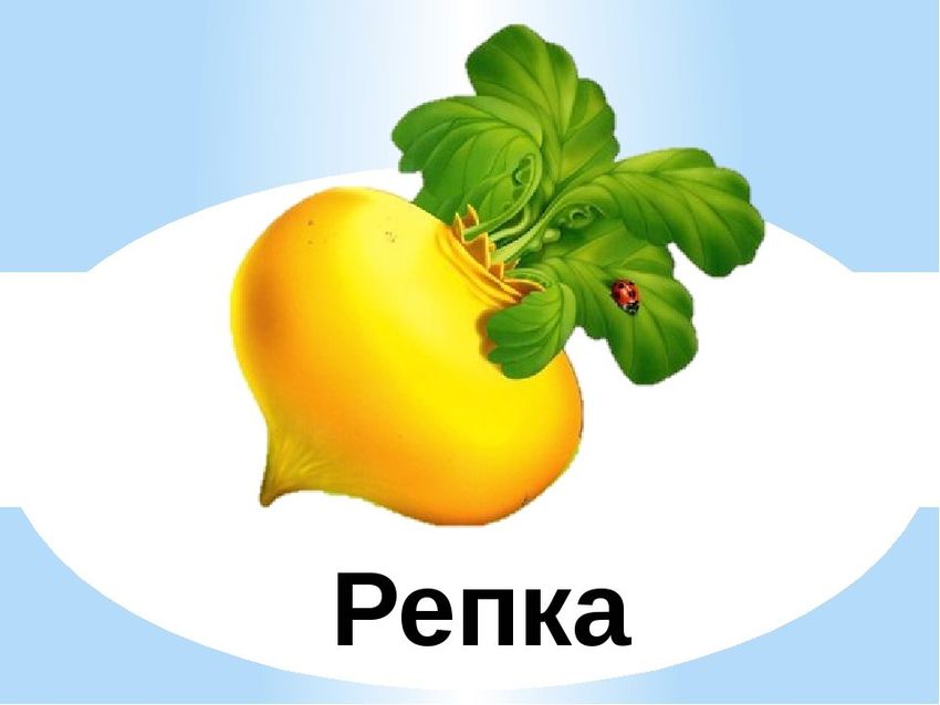Персонажи репки