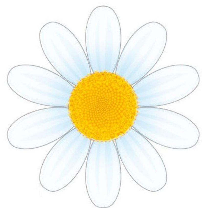 Ромашка Ромашка для детей