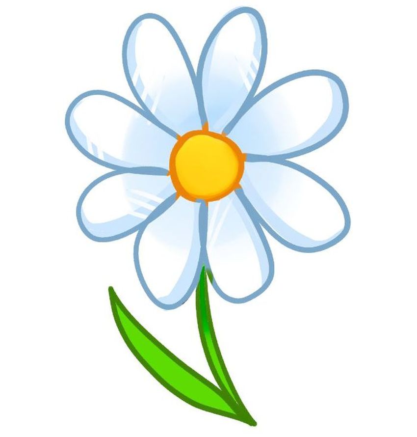 Ромашка рисунок Цветок ромашка для детей