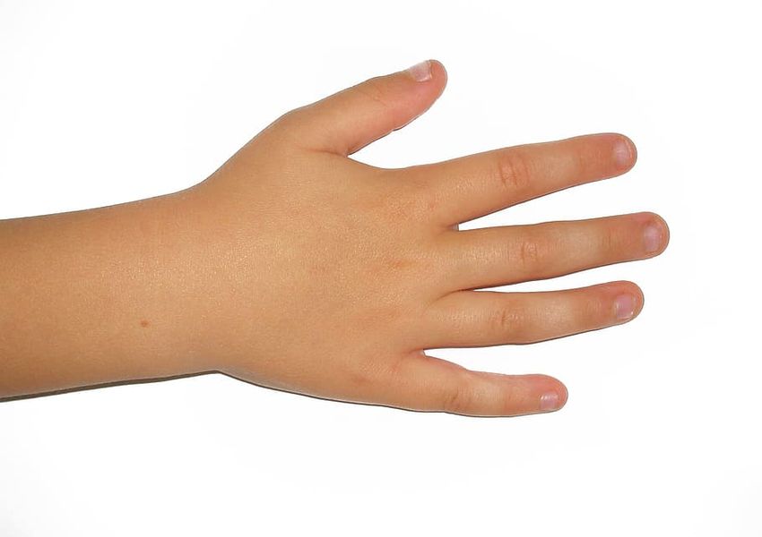 Рука пальцы