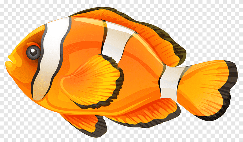 Оранжевая рыбка клипарт